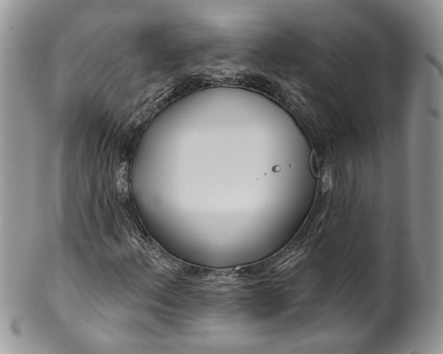 X0000099961156200806131503