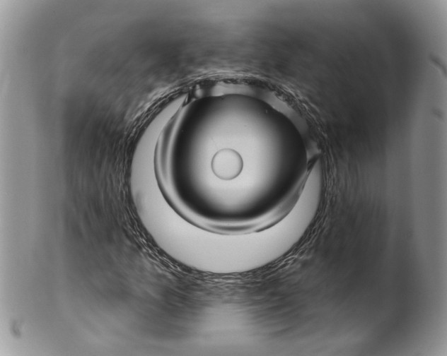 X0000099961157200806131503