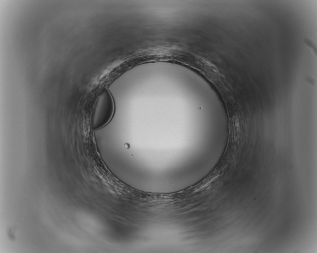 X0000099961158200806131503