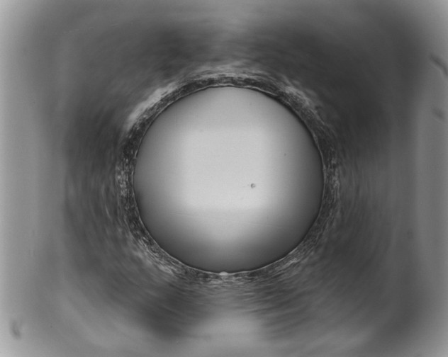 X0000099961159200806131503