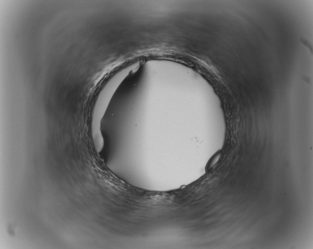 X0000099961160200806131503