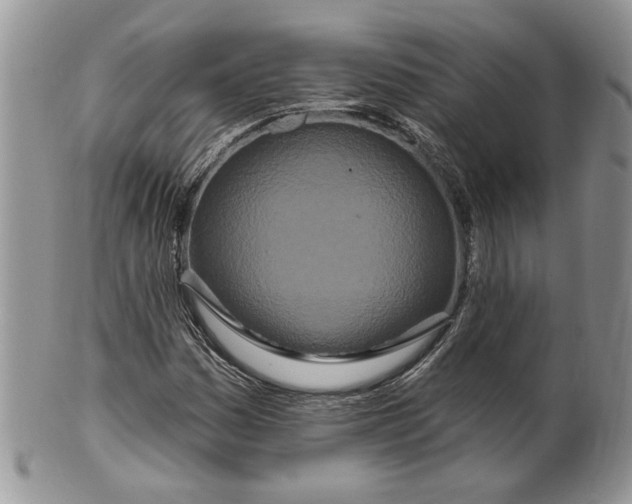 X0000099961161200806131503