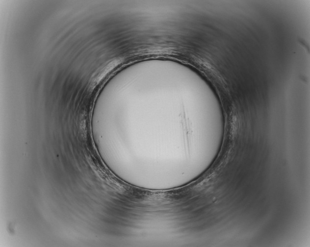 X0000099961162200806131503