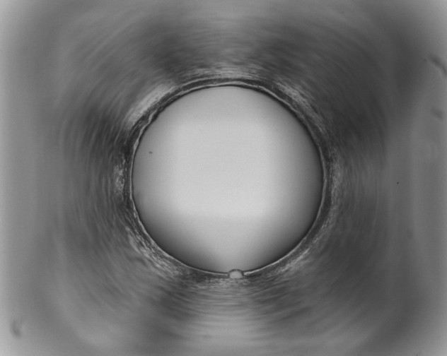 X0000099961163200806131503