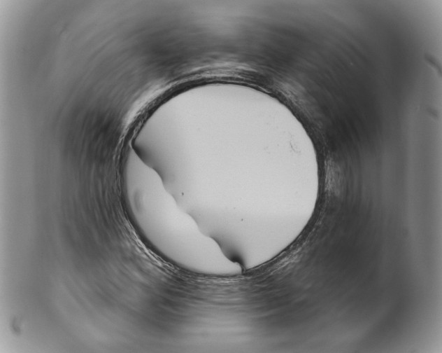 X0000099961164200806131503