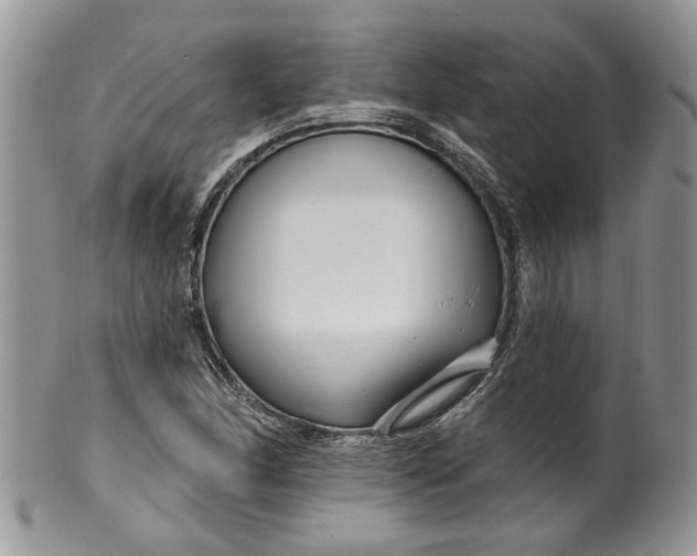 X0000099961166200806131503