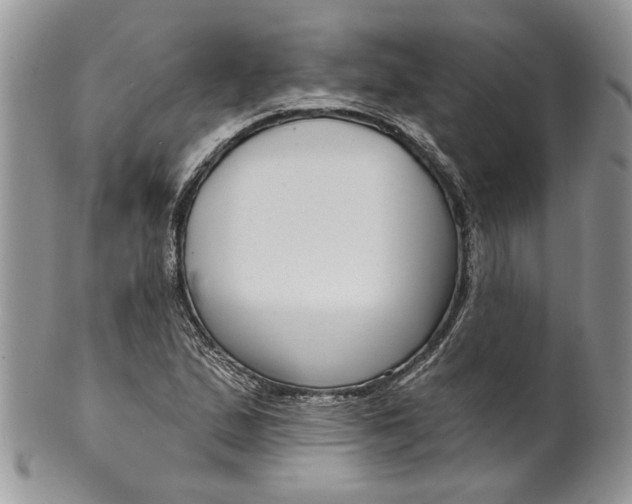 X0000099961167200806131503