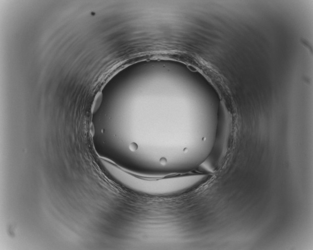 X0000099961169200806131503