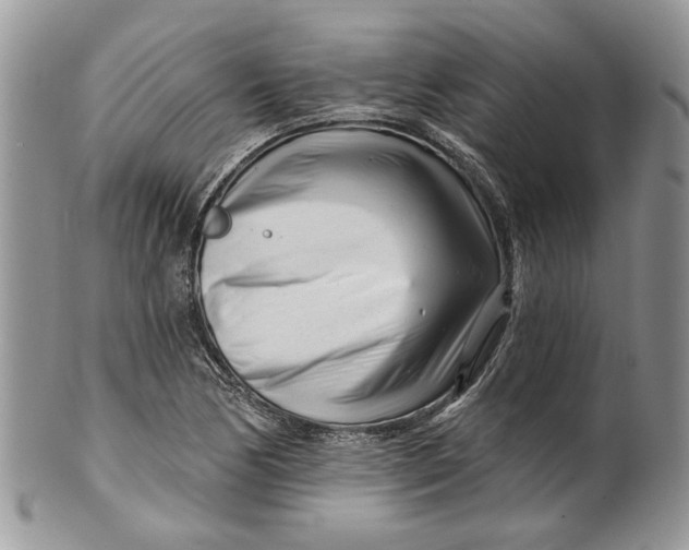 X0000099961170200806131503