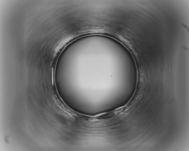 X0000099961171200806131503