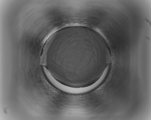 X0000099961173200806131503