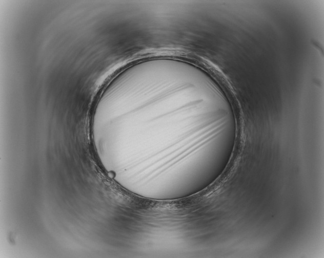 X0000099961174200806131503