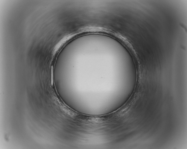 X0000099961175200806131503