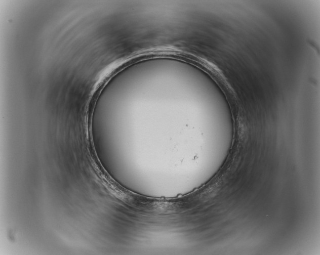 X0000099961176200806131503