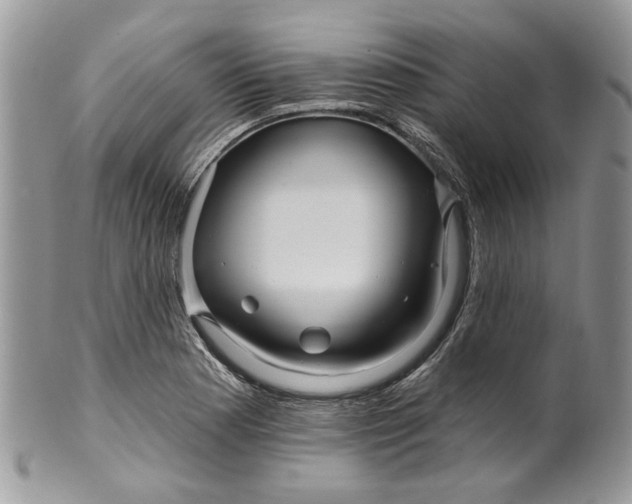 X0000099961177200806131503