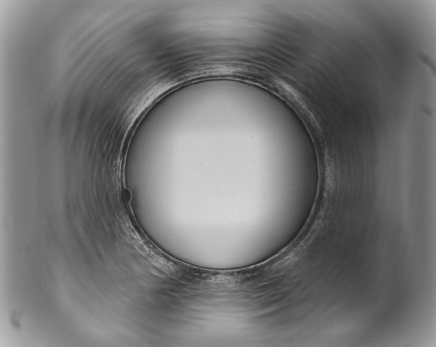 X0000099961178200806131503