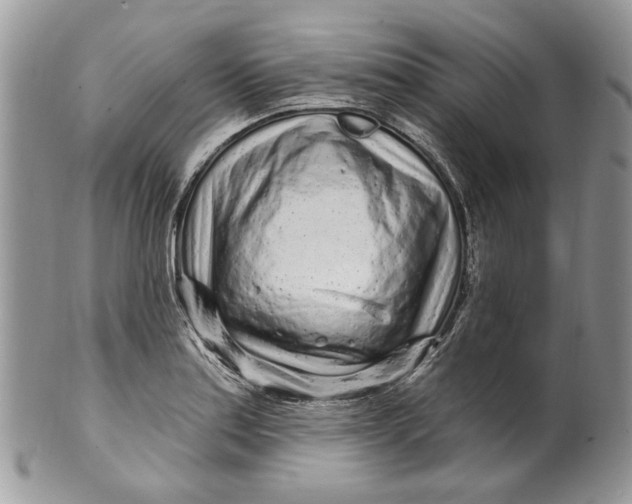 X0000099961179200806131503