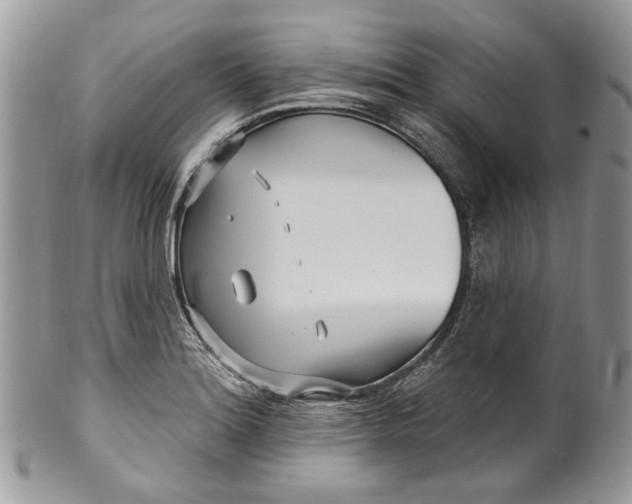 X0000099961180200806131503