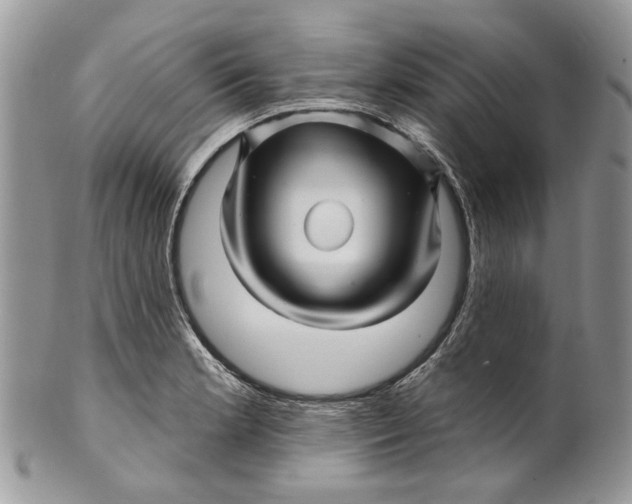 X0000099961181200806131503