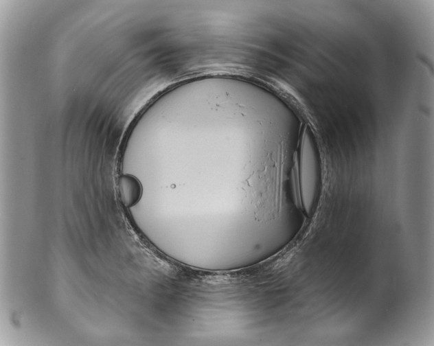 X0000099961182200806131503