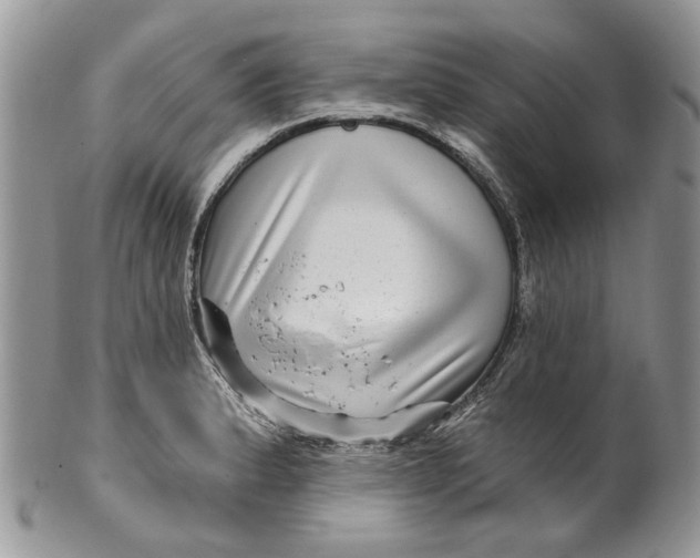 X0000099961183200806131503