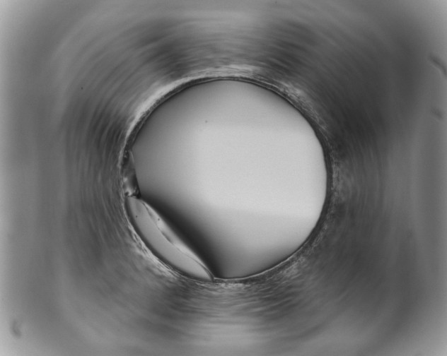 X0000099961184200806131503