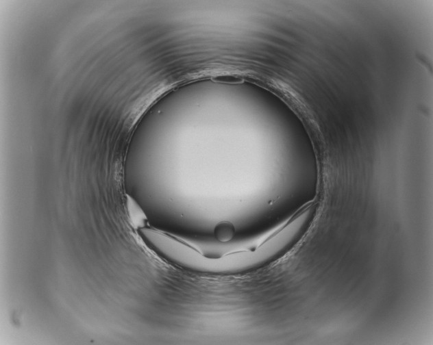 X0000099961185200806131503