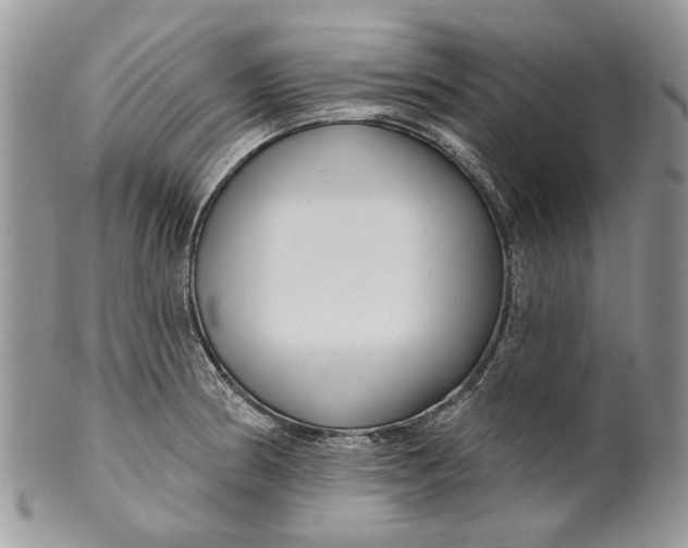X0000099961186200806131503