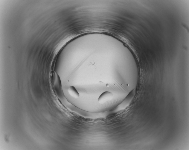 X0000099961187200806131503