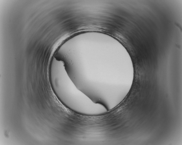 X0000099961188200806131503