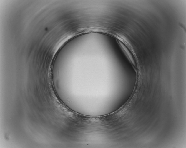 X0000099961190200806131503