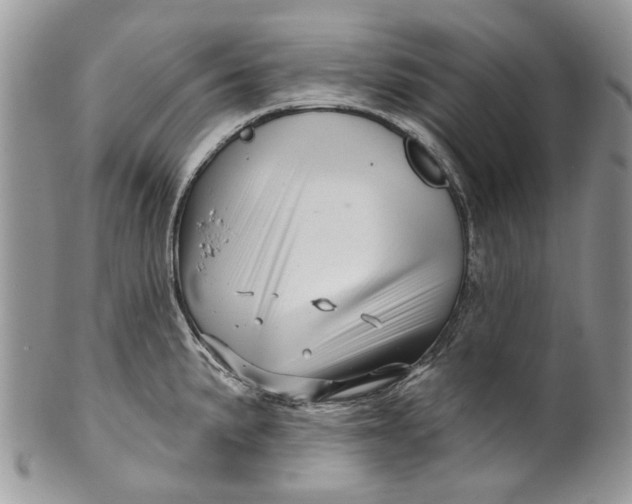 X0000099961191200806131503