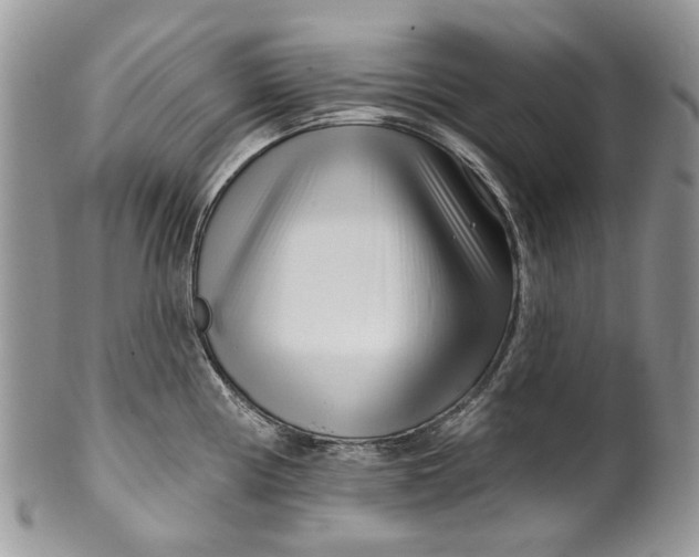 X0000099961194200806131503