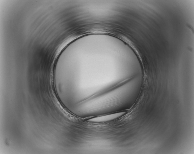 X0000099961195200806131503