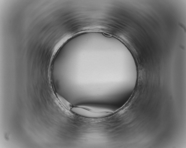 X0000099961196200806131503
