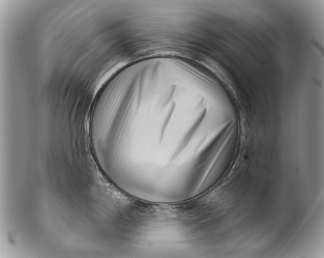 X0000099961198200806131503