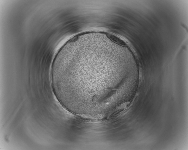 X0000099961199200806131503