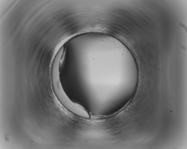 X0000099961200200806131503