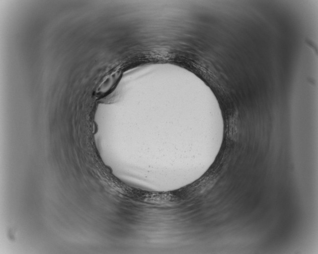 X0000099961201200806131502