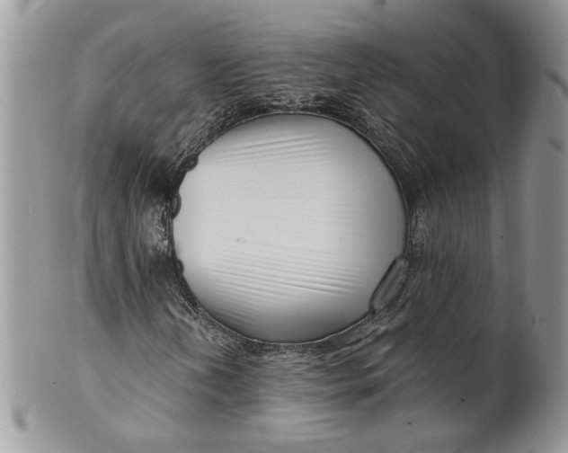 X0000099961202200806131502