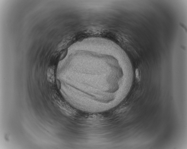 X0000099961203200806131502