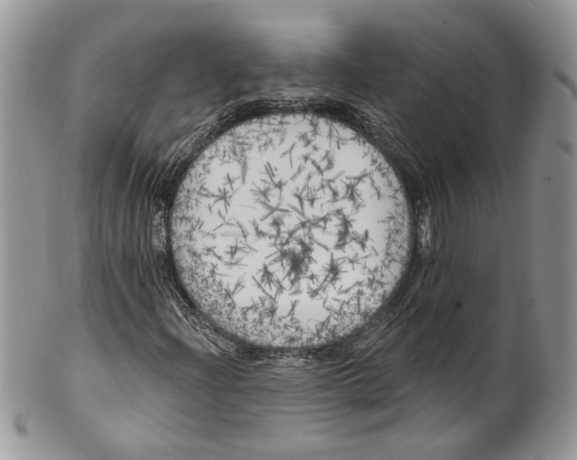 X0000099961204200806131502