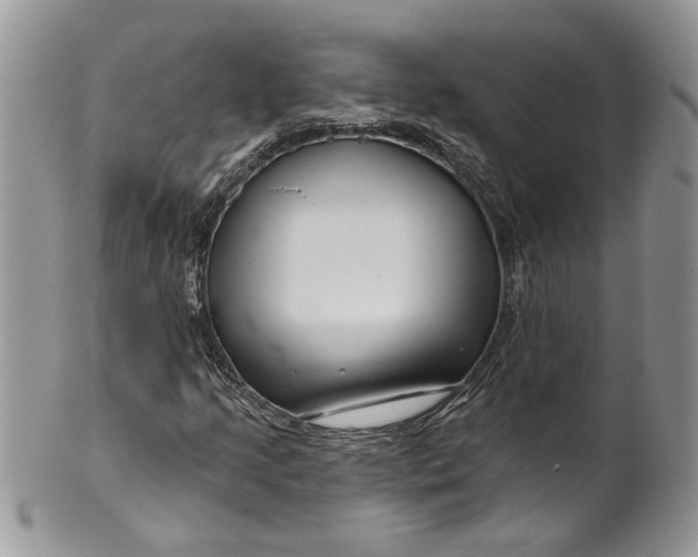 X0000099961205200806131502
