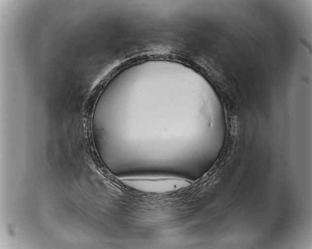 X0000099961208200806131502