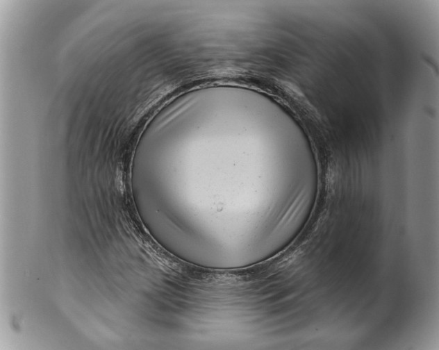 X0000099961209200806131502