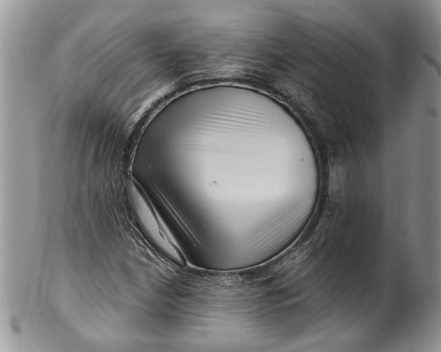 X0000099961210200806131502