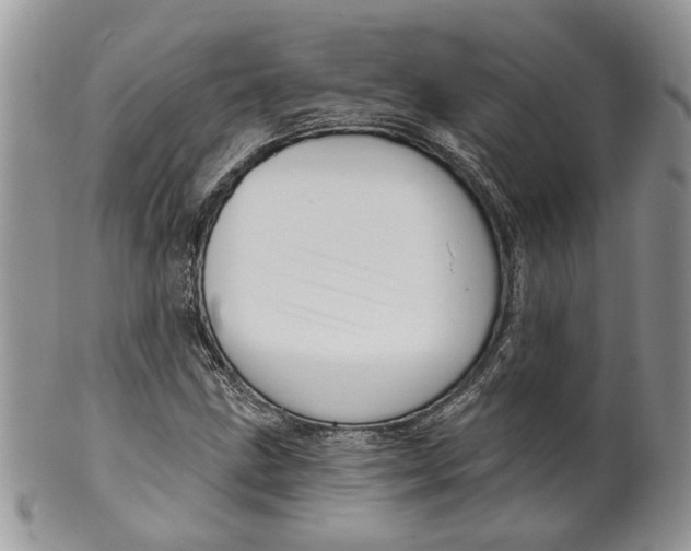 X0000099961211200806131502