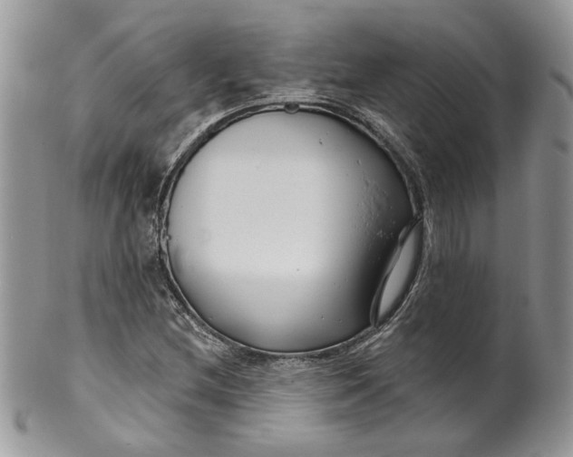 X0000099961212200806131502