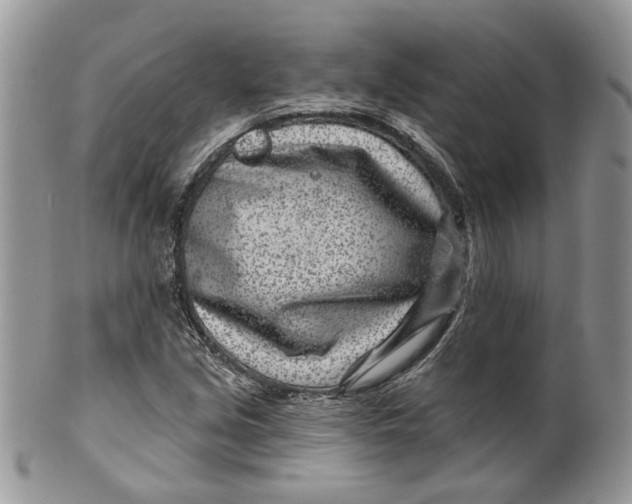 X0000099961213200806131502