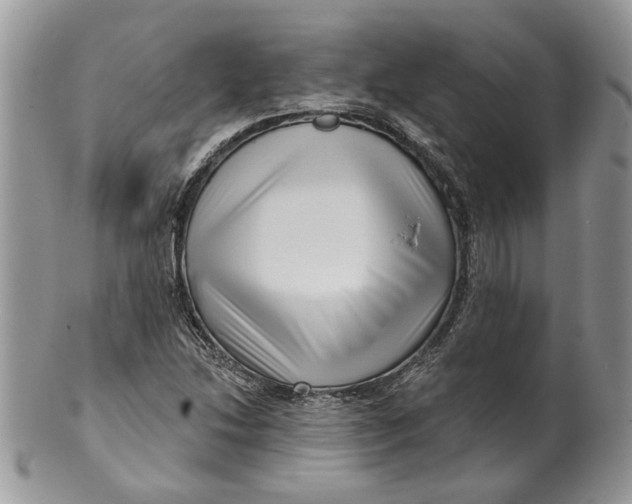 X0000099961214200806131502